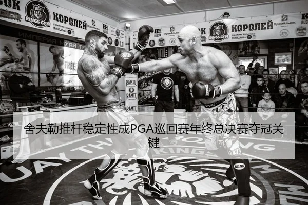 舍夫勒推杆稳定性成PGA巡回赛年终总决赛夺冠关键